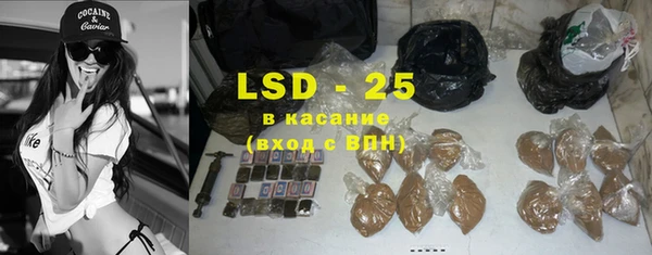шишки Вяземский