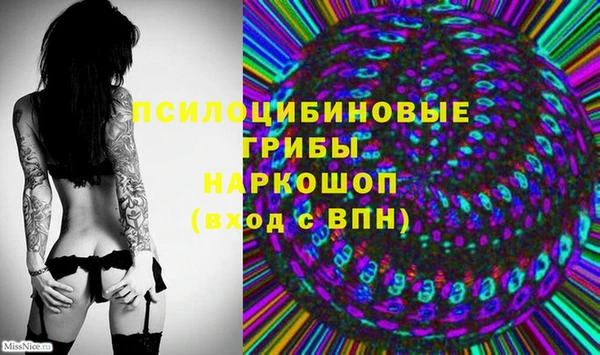 мескалин Гусиноозёрск